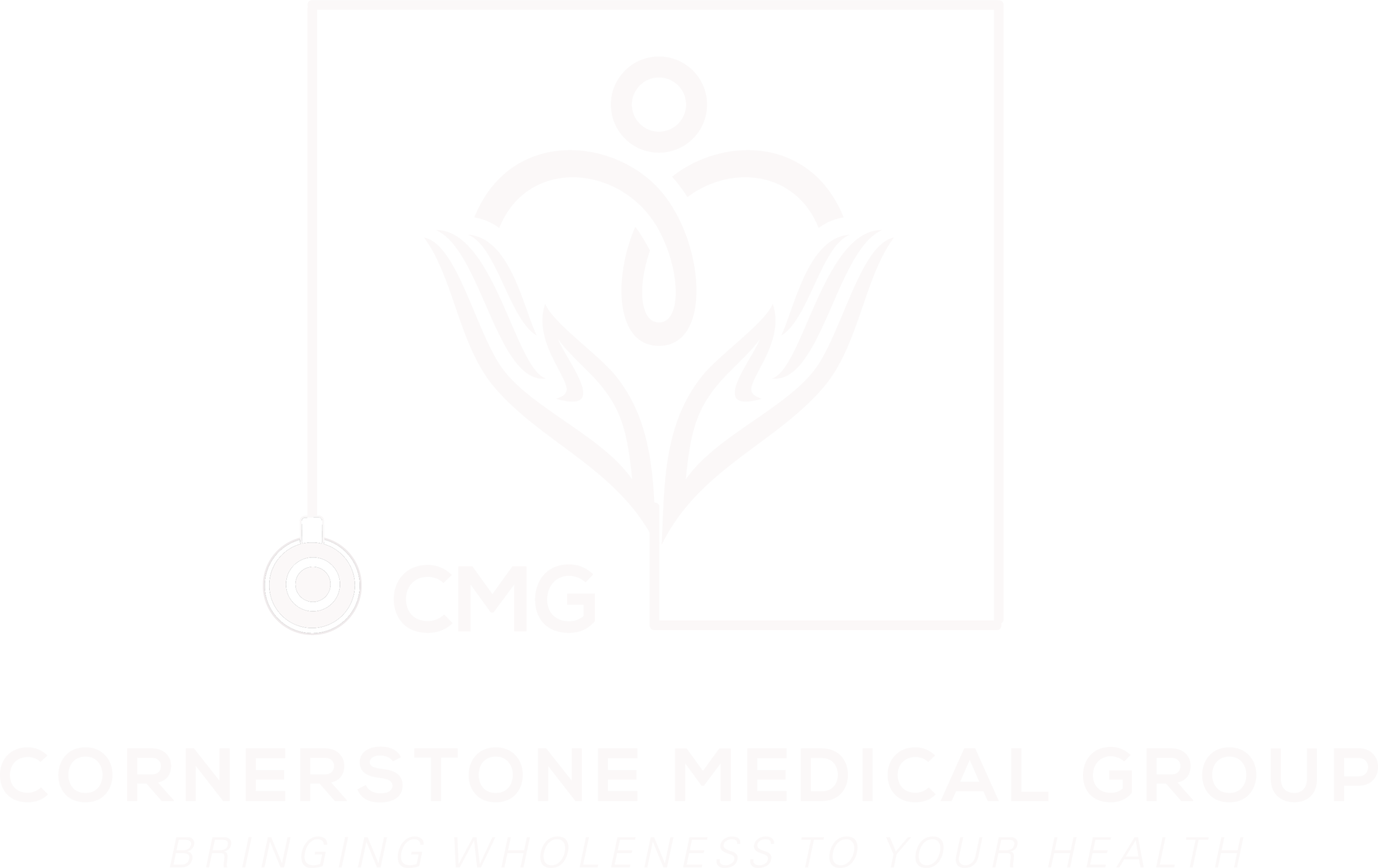 Cornerstone Medical Group Inc.